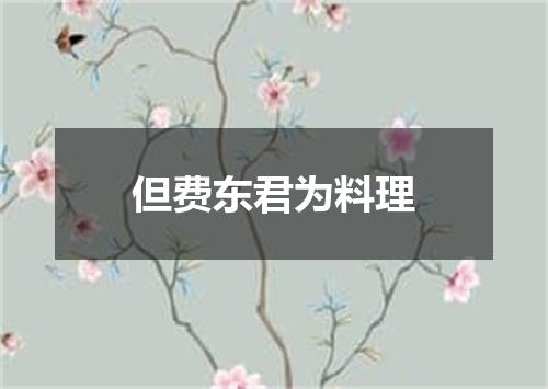 但费东君为料理