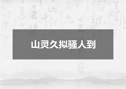 山灵久拟骚人到