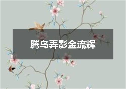腾乌弄影金流辉