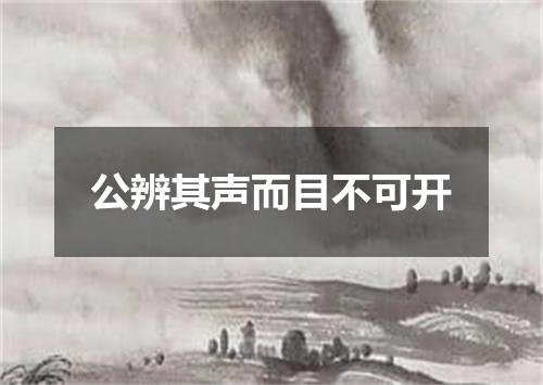 公辨其声而目不可开