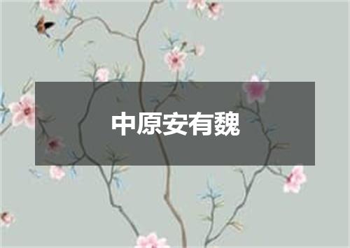 中原安有魏