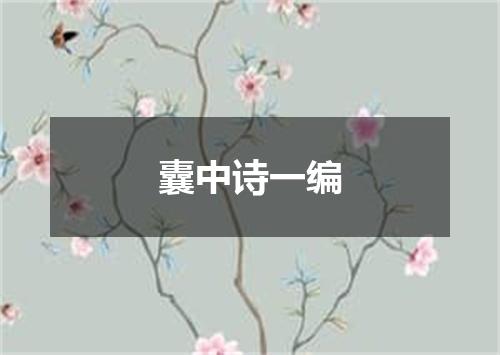 囊中诗一编