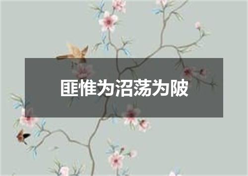 匪惟为沼荡为陂