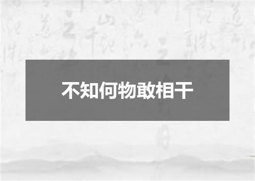 不知何物敢相干