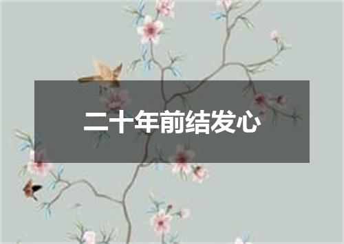 二十年前结发心