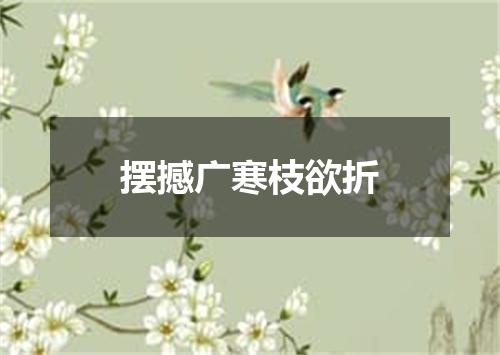 摆撼广寒枝欲折