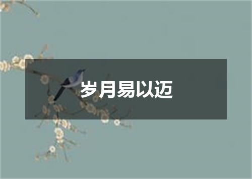 岁月易以迈
