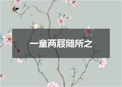 一童两屐随所之