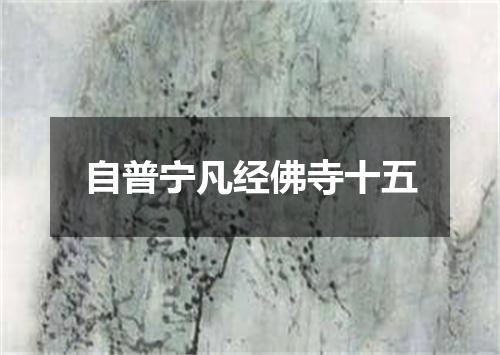 自普宁凡经佛寺十五