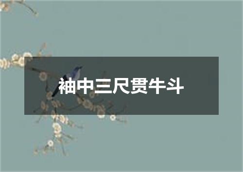 袖中三尺贯牛斗
