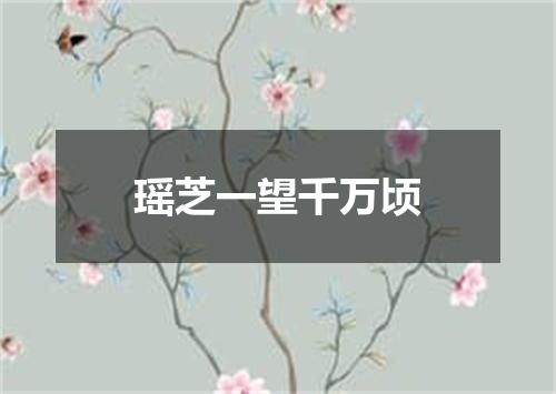 瑶芝一望千万顷