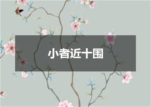 小者近十围