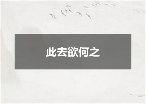 此去欲何之