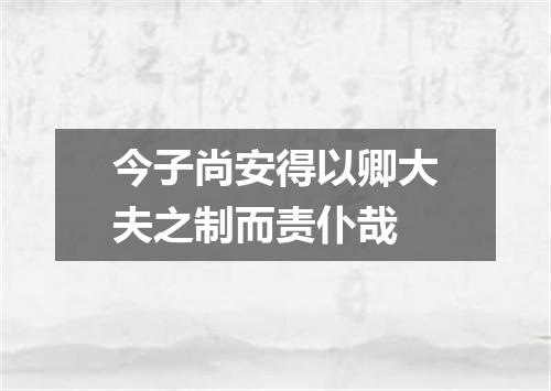 今子尚安得以卿大夫之制而责仆哉