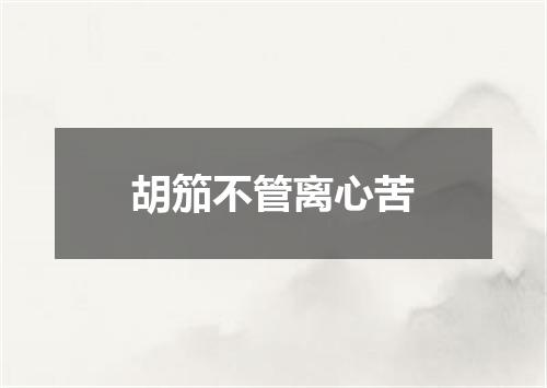 胡笳不管离心苦