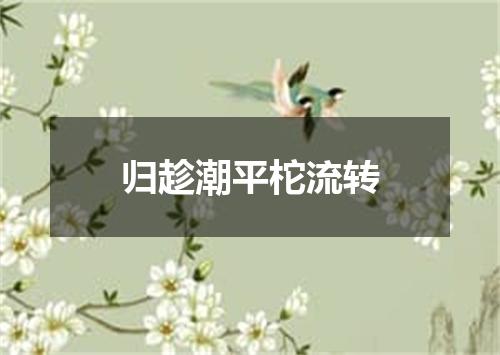 归趁潮平柁流转