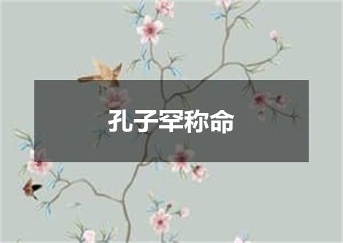 孔子罕称命