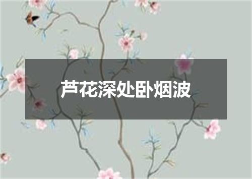 芦花深处卧烟波