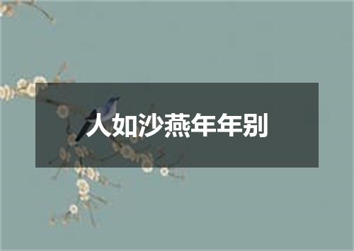 人如沙燕年年别