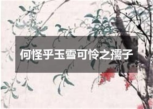 何怪乎玉雪可怜之孺子