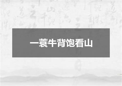 一蓑牛背饱看山
