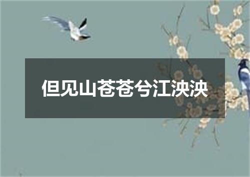 但见山苍苍兮江泱泱