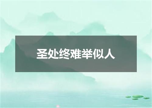 圣处终难举似人