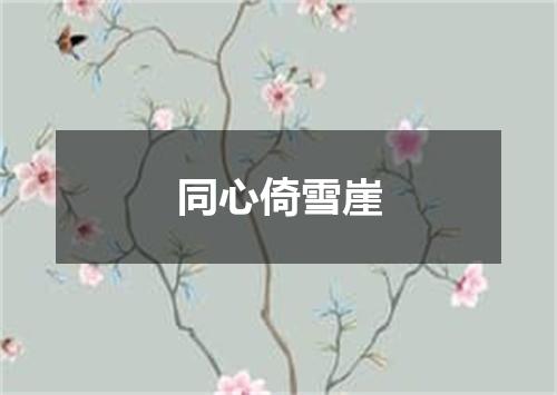 同心倚雪崖