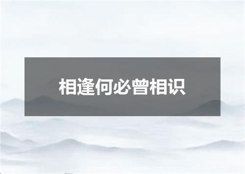 相逢何必曾相识