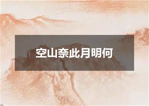 空山奈此月明何