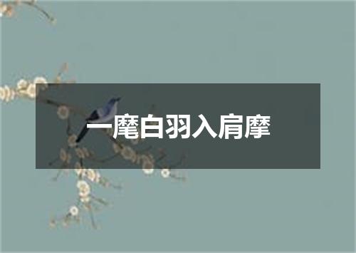 一麾白羽入肩摩