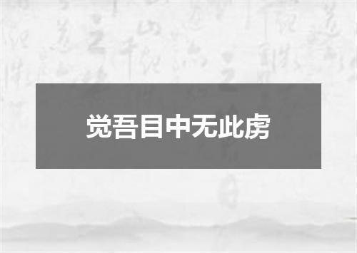 觉吾目中无此虏