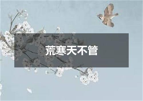 荒寒天不管