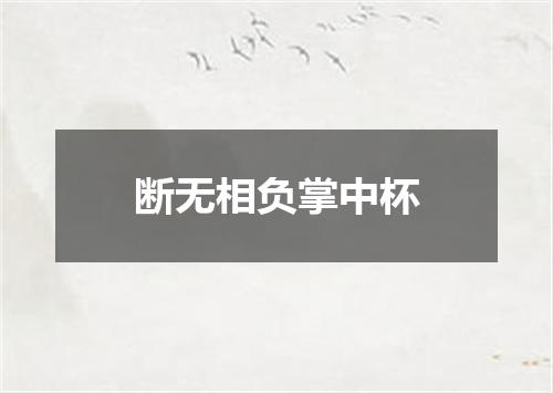 断无相负掌中杯