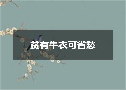 贫有牛衣可省愁