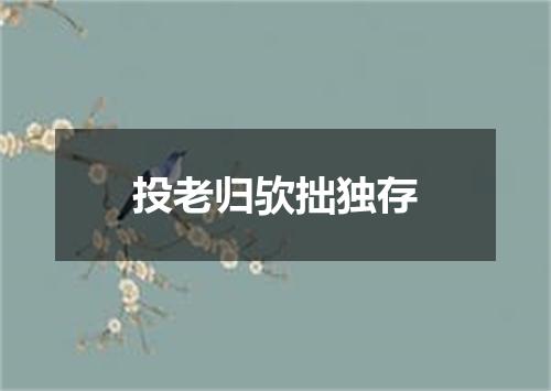 投老归欤拙独存