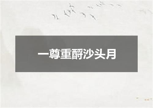 一尊重酹沙头月