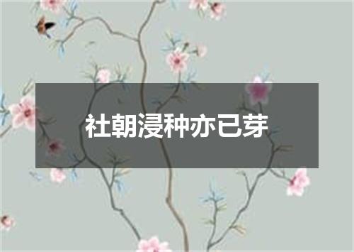 社朝浸种亦已芽