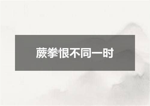蕨拳恨不同一时