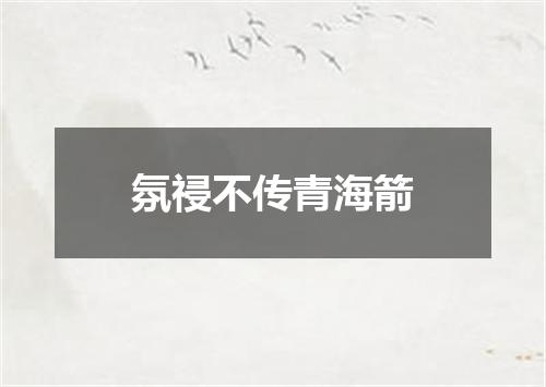 氛祲不传青海箭