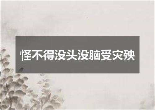 怪不得没头没脑受灾殃