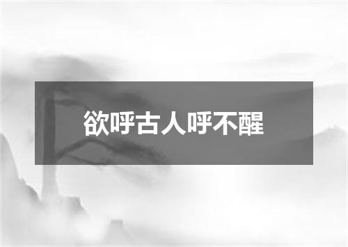 欲呼古人呼不醒