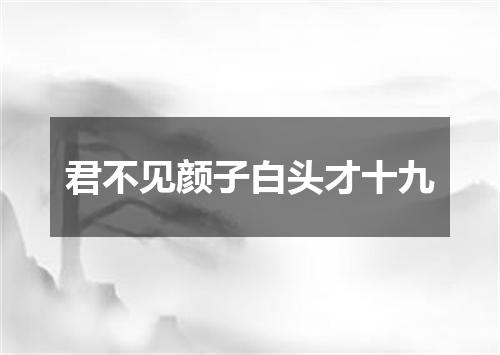君不见颜子白头才十九
