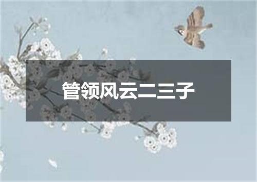 管领风云二三子