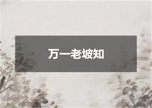 万一老坡知