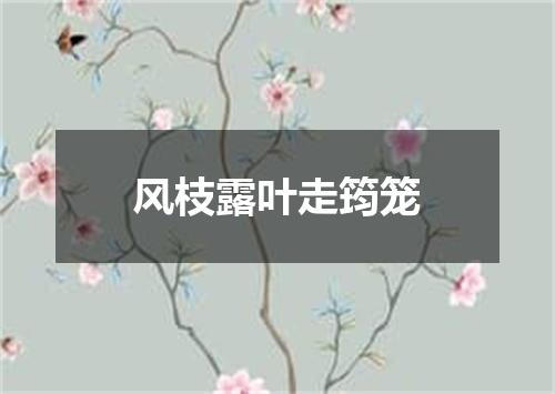 风枝露叶走筠笼