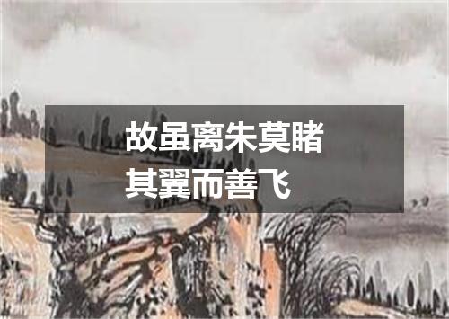 故虽离朱莫睹其翼而善飞