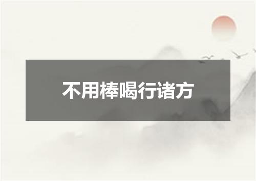 不用棒喝行诸方