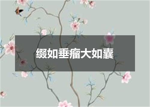 缀如垂瘤大如囊
