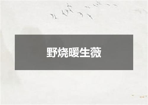 野烧暖生薇